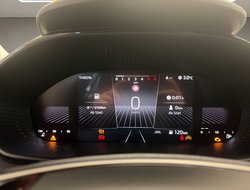 Fabia 1.0 TSI Tour ACC Kamera DynLicht LED LM