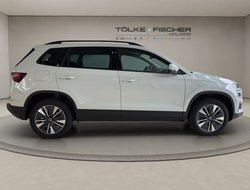 Karoq 1.5 TSI DSG Balance ACC AHK Navi eHeck