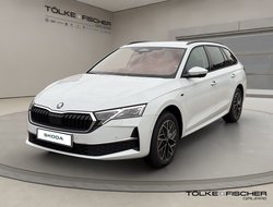 Octavia Combi DSG ACC AHK AUTO Navi Matrix