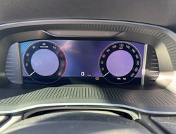 Octavia Combi Tour AHK Navi HUD 360° eHeck