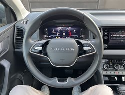 Karoq 1.5 TSI DSG AHK Pano PDC Navi eHeck