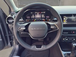 Fabia Tour DSG ACC Kamera DynLicht LED