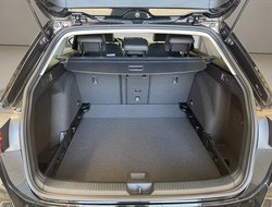 Golf Variant 2.0 TDI 7-Gang DSG ACC AHK Radio