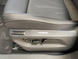 Tiguan R-Line 1.5 l eTSI OPF 7-Gang-DSG DCC Pano