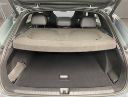 Terramar 2.0 TSI 4Drive Americas Cup Edition