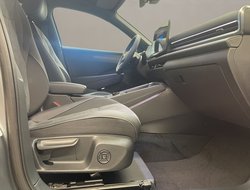 T-Roc Style 1.5 l eTSI OPF  7-Gang-DSG IQLight