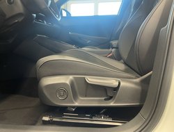 T-Roc DSG Technikpaket IQ-Drive neues Modell