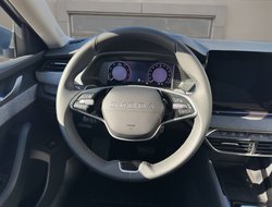 Octavia Combi Tour AHK Navi HUD 360° eHeck