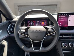 Kodiaq Sportline Navi Pano DCC AHK Standh.