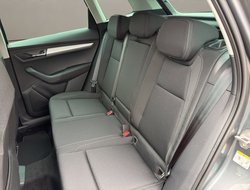 Karoq 1.5 TSI DSG Balance ACC AHK Navi eHeck