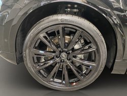 Q8 50 S-Line 3.0 TDI quattro S-line 360 ACC LM