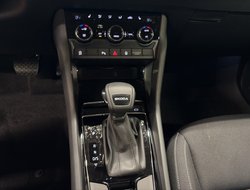 Karoq Balance DSG ACC AHK Navi LED