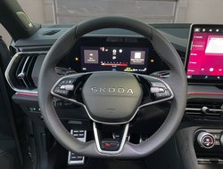 Kodiaq RS Pano AHK Navi Standhz 360° eHeck