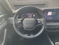 Octavia Combi Tour ACC AHK Navi eHeck