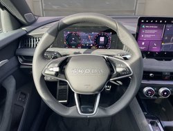 Superb Combi Sportline DCC Pano AHK Traveller