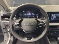 Kamiq Tour ACC AHK Virtual LED LM