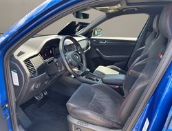 Kodiaq RS Navi DCC eHeck AHK Kamera