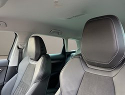 Karoq 2.0 TDI DSG AHK Navi Standh. Matrix ACC