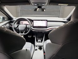 Octavia Combi 2.0 TDI DSG Sportline ACC Navi 360