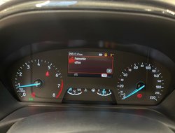 Puma 1.0 EcoBoost Titanium ACC Navi Pano el.Heck