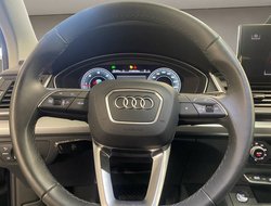 Q5 40 2.0 TDI quattro S-Line S-line AHK AUT Kam.