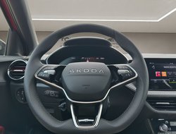 Fabia Monte Carlo ACC Kamera KeyLess SHZ