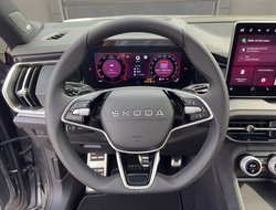 Kodiaq DSG Sportline DCC Navi AHK Matrix eHeck