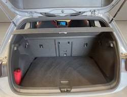 Golf VIII 2.0 TSI GTI DCC NaviPro IQLight ACC LM