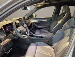 Kodiaq RS DCC AHK Leder Navi Pano