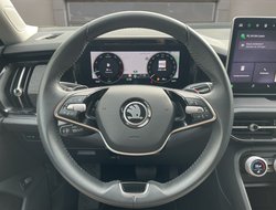 Kodiaq 1.5 TSI DSG ACC Navi Virtual eHeck