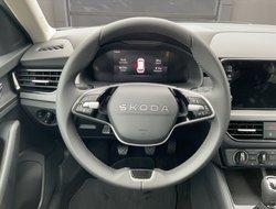 Kamiq 1,0 TSI Klima Virtual LED PDC SHZ SpurH