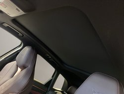 Terramar 1.5 VZ DCC ACC AHK AUT Kam. Navi Pano