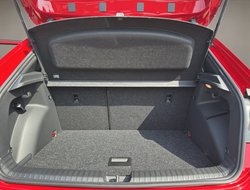 Fabia Monte Carlo ACC Kamera KeyLess SHZ