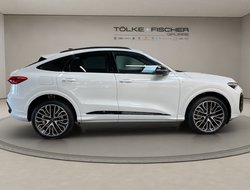 Q5 Sportback 2.0 TDI quattro W Pano S-line ACC