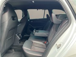 Octavia Combi 2.0 TSI RS Plus DCC ACC AHK AUT LM