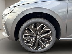 Scala DSG Balance ACC AHK Kamera LED