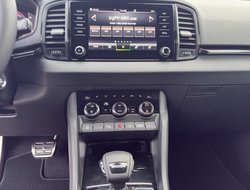 Karoq Sportline DCC Pano AHK Kamera eHeck