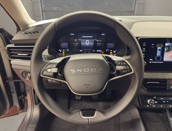 Kamiq Tour ACC AHK Virtual LED LM