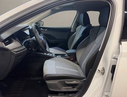 Octavia Combi Tour ACC AHK Navi 360° eHeck Matrix