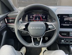 Kamiq 1.0 TSI DSG Monte Carlo ACC AHK Kamer eHeck