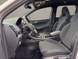 Karoq Sportline Pano Navi DCC AHK eHeck