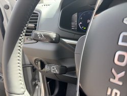 Karoq 1.5 TSI DSG Balance ACC AHK Navi eHeck
