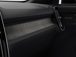 XC40 B3 Plus Dark Licht Paket ACC AUT Kam. 360