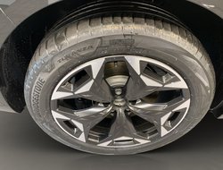 Terramar 1.5 VZ DCC ACC AHK AUT Kam. Navi Pano