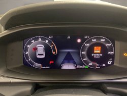 Terramar 2.0 TSI 4Drive Americas Cup Edition