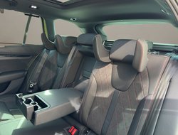 Octavia Combi 2.0 TSI DSG RS Pano AHK Navi SHZ