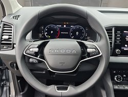 Karoq 1.5 TSI DSG Balance ACC AHK Navi eHeck