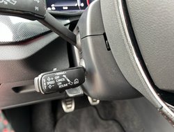 Scala 1.5 TSI Monte Carlo Pano ACC Kam. Navi LED