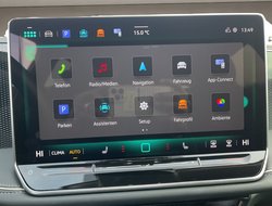 Passat Variant 2.0 TDI W Business DCC ACC AHK LM