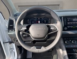 Karoq 1.5 TSI DSG Balance ACC AHK Navi eHeck